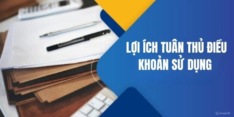 Lý do cần có điều khoản điều kiện nền tảng cược